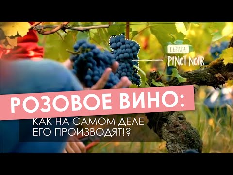 Розовое вино: Как на самом деле его производят!?