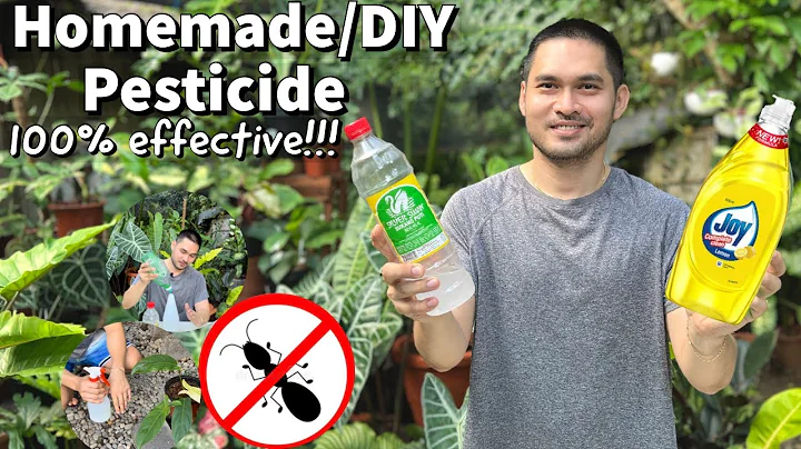 HOW TO USE VINEGAR AND DISHWASHING LIQUID AS PESTICIDE/INSECTICIDE | HOMEMADE/DIY PESTICIDE - DayDayNews