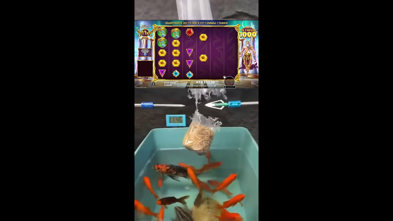 СТРИМ ШОРТС ИГРАЕМ