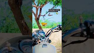 #Pakshi #danapani #garmi #shayari #foryou 💦 🌽🕊️