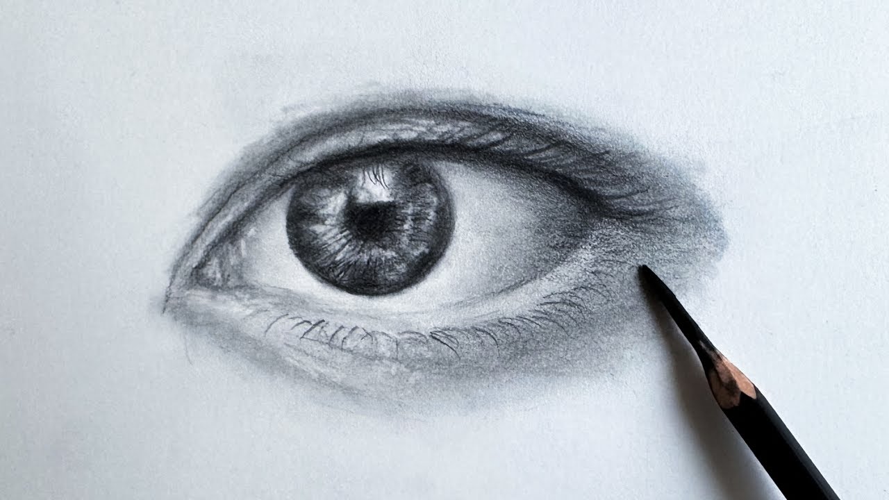 6 Drawing Tools and What Beginners Can Expect from Each of Them