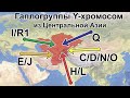 Гаплогруппы Y-ДНК из Центральной Азии. Филогения Y-хромосом в свете новых данных