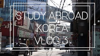 Food, Hunting, And Small Faces? Korea Vlog 3