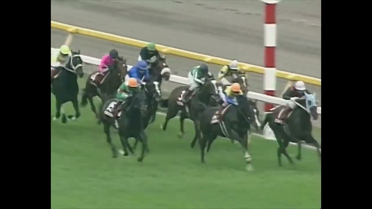 1998年 阪神3歳牝馬ステークス（GⅠ） | スティンガー | JRA公式 - YouTube