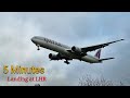 Landings At London Heathrow Airport London LHR Plane Spotting New 2026 Heathrow Airport Landings At London Heathrow Airport London LHR Plane Spotting New 2026 Heathrow Airport