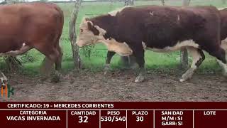 CERTIFICADO 19 VACAS INVERNADAS