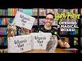 HARRY POTTER UNBOXING | 3 Wizard's Vault Subscription Boxes | Bibbidi Bobbidi Boxes