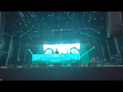 OF THE TREES - ELECTRIC FOREST 2022 - FULL SET