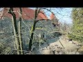 GRODZIEC ZAMEK V