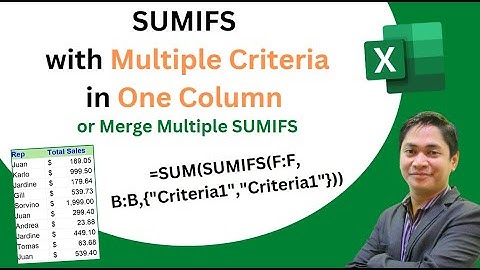 SUMIFS with Multiple Criteria in One Column