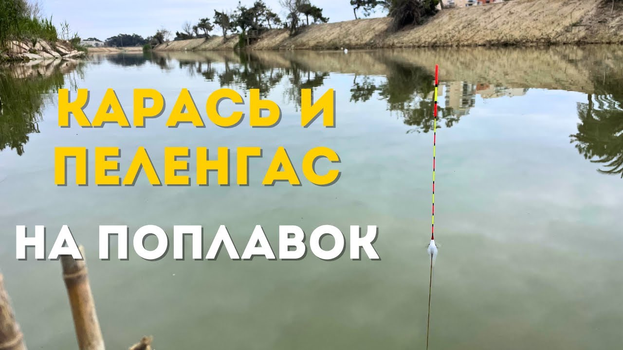 Рыбалка на поплавок! Пассивная рыба на муку!