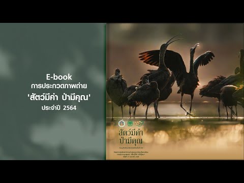 ชม E-BOOK การประกวดภาพถ่าย 'สัตว์มีค่า ป่ามีคุณ' ประจำปี 2564 ได้แล้ววันนี้