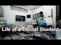 Life of a second year dental student  claudie