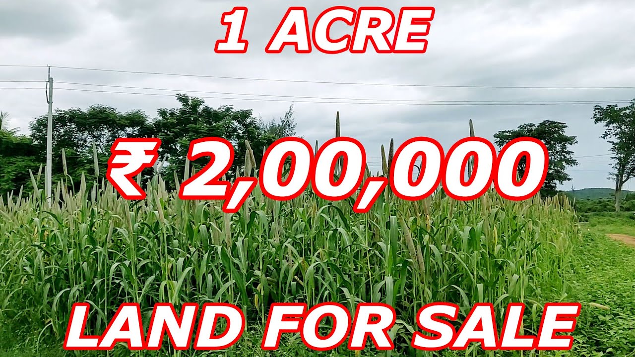 1 ACRE AGRICULTURAL LAND FOR SALE FINANCIAL NEED LAND SALE ₹ 2,00,000