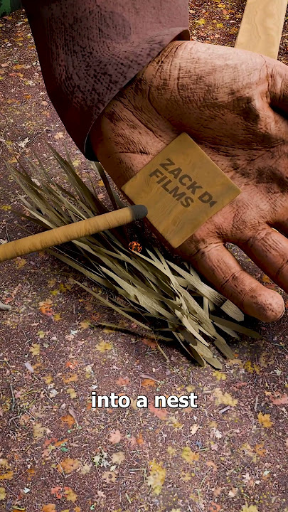 How To Start A Fire With Two Sticks 🤔