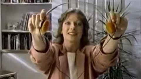 WXRT 93 FM - "Give My Friend Terri A Listen" (Comm...