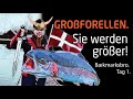 Im Land der GROßFORELLEN. Bækmarksbro: Tag 1. Forellenangeln in Dänemark mit Erwin Meiris.