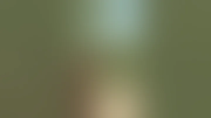 Shooting Chinese RPD