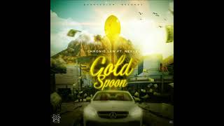 Chronic law ft Nervz - Gold Spoon (Official Audio)