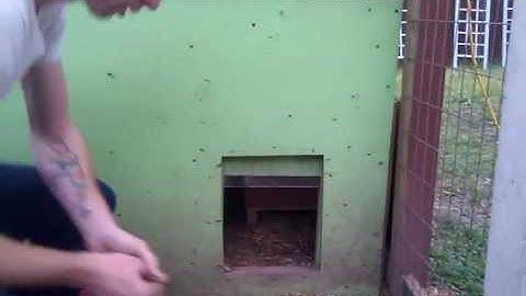 Automatic chicken door - arduino + light sensor