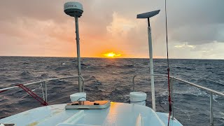 Sailing across the Pacific Ocean - Day 14