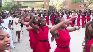 Exultant 55 | Alpha Chapter, Delta Sigma Theta Spr 2026 Howard U Probate Pt. 4: DST is the Only Way
