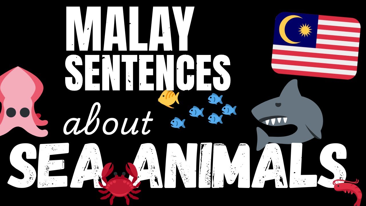 200 B1 Malay sentences - Marine Animals | Learn Intermediate Malay vocabulary