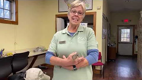 Zoo to You: Spotlight on our Volunteer Programs