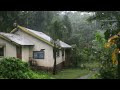 Jamaica rain and thunderstorm sound for sleeping heavy rain in jamaica