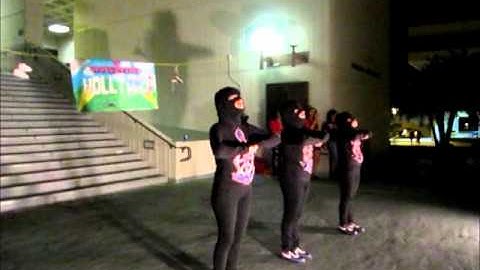 Sigma Lambda Gamma - Fearless Phi Gamma Chapter - SPRING 2010 Probate (3/5)