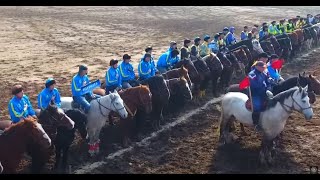 картинка: 16 02 2022 САРЫАҒАШ КОМАНДАЛЫҚ КӨКПАР
