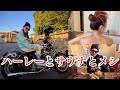 【ハーレー夫婦】走って、食って、整う。2DAYSツーリング【糸島】