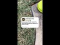 Sales people of Reddit, what is the most satisfying way you watched a toxic boss fail?