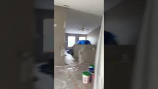 Alba Painting Spray Texturing Wall