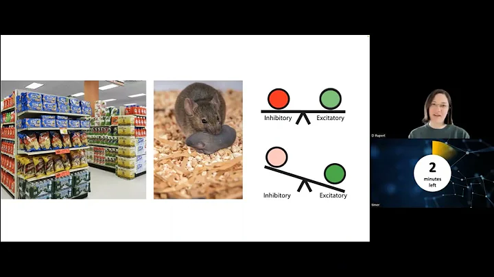 SBU Three Minute Thesis 2022: Deborah Rupert