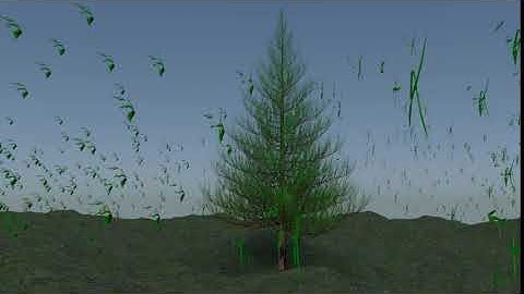 Growing Tree in Blender