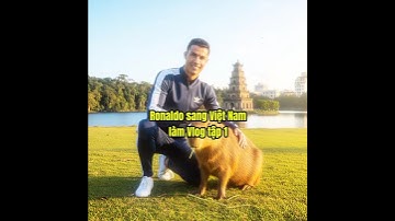 Capybara và Ronaldo làm Vlog tập 1😂😂#shorts