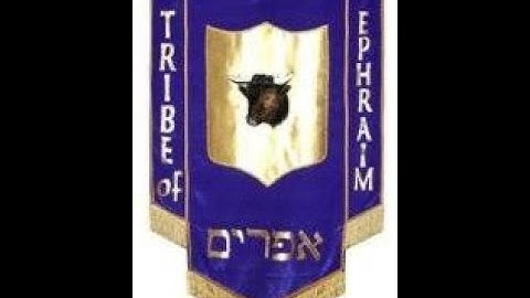 Why is the tribe of Ephraim not listed among the 144,000?