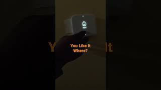 82