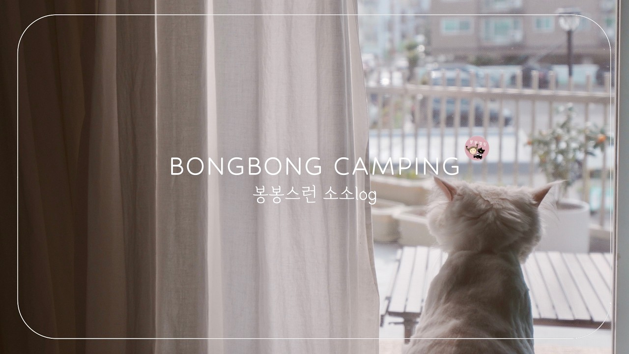 차박과 일상 | 36년된 노후주택살이 | 고양이들과 감성 브런치🥐, 뜨개 프릴지갑 이벤트 발표💌