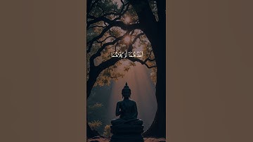 قرأن كريم راحة نفسية ❤️🥹 شيخ ياسر دوسري سورة اسراء راحة نفسية ❤️🥹 #اكسبلور #المصحف #القزابري #لايك #