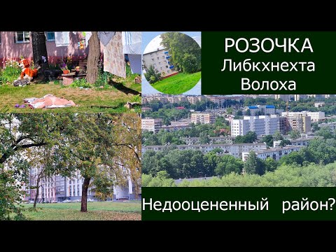 ЛУЧШИЕ РАЙОНЫ МИНСКА. Разнообразная Розочка