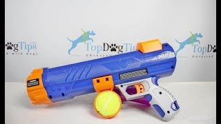 nerf dog blaster mod