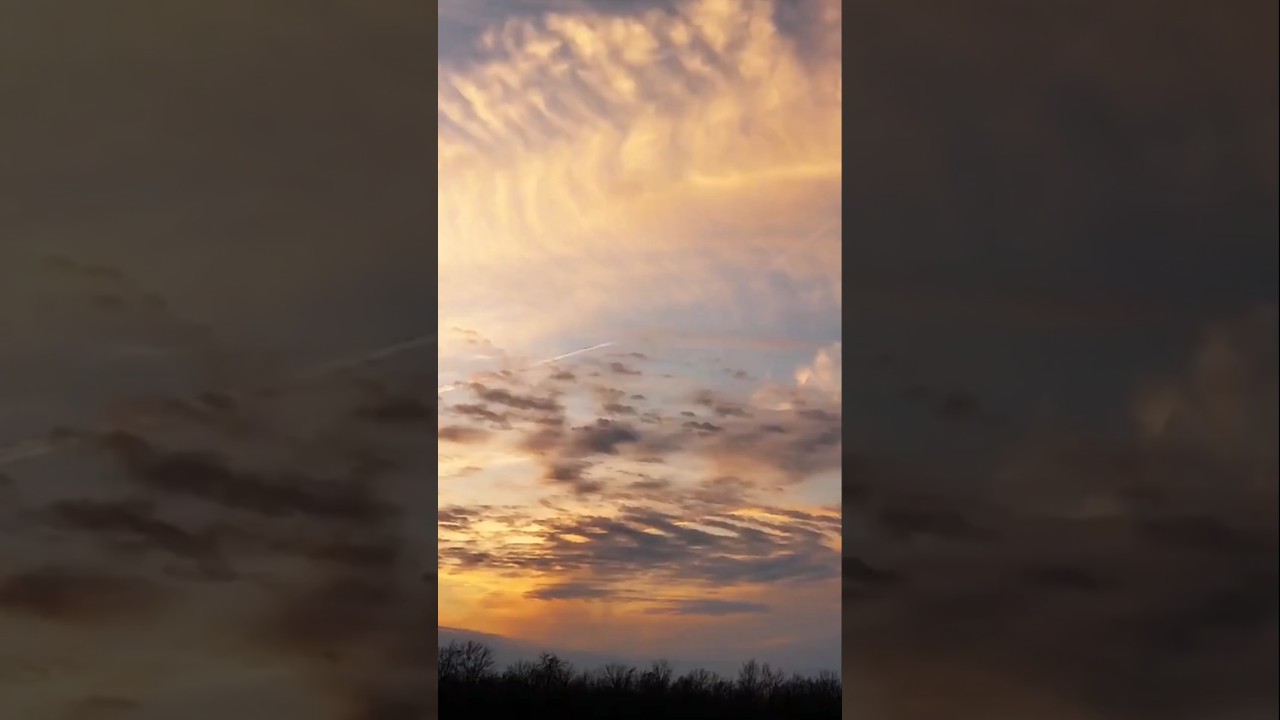 UI Path Developer Job Vacancy In Mumbai 