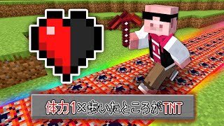 【マイクラ】体力1×歩いたところがTNTになる世界でエンドラ討伐！