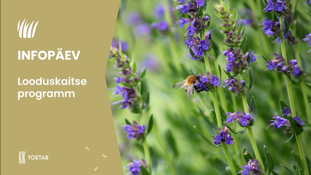 Looduskaitse programmi infopäev 23.09.2025