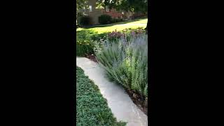 3117 Ella Ln. video tour
