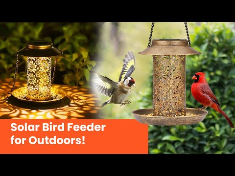 Solar Bird Feeder for Outdoors