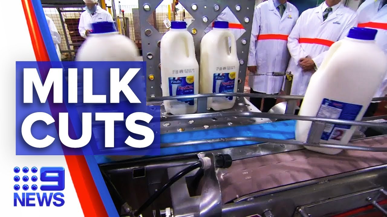 Milk giant Pauls cuts production and jobs | Nine News Australia