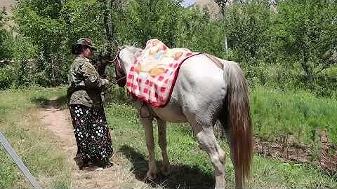 2025 IUCN WCPA International Ranger Awards: Safarbi Davlatova, Dashtijum Nature Reserve, Tajikistan